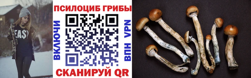 Купить где  Нижние Серги  Псилоцибиновые грибы ЛСД 
